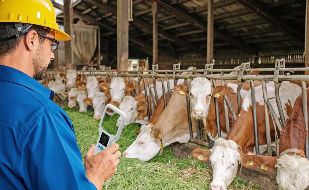 News - How does RFID help animals trace their origin?